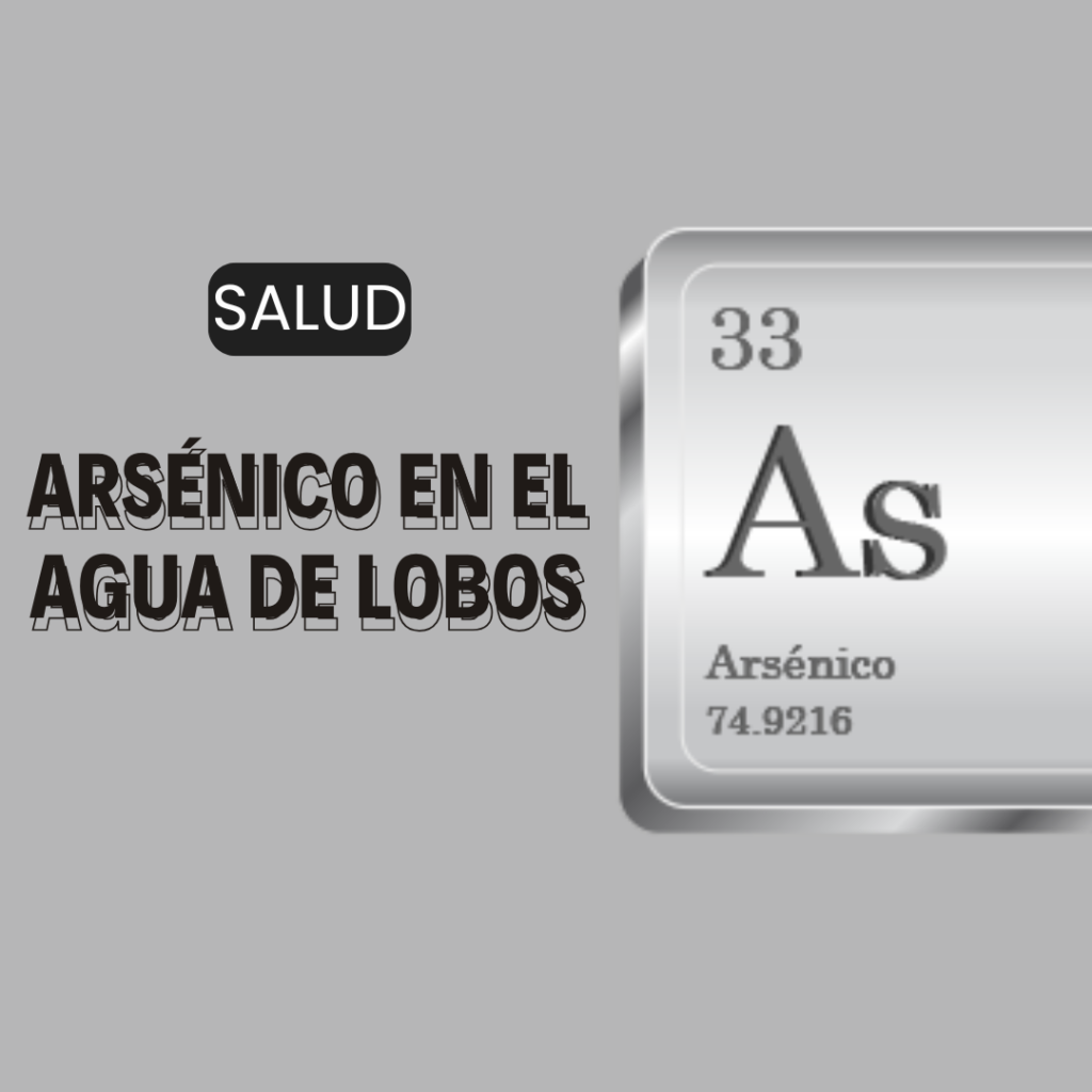para notas (1)