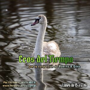 95042387-e383-4dd4-b65c-81afc8cc12f4