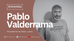 Martin para YouTube (1)