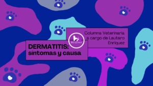 miñaturas yutu - 2026-02-04T092148.240