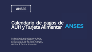 ANSES Aviso Importante (1)