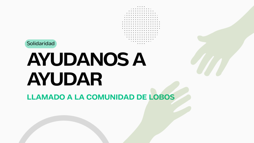 Solidaridad