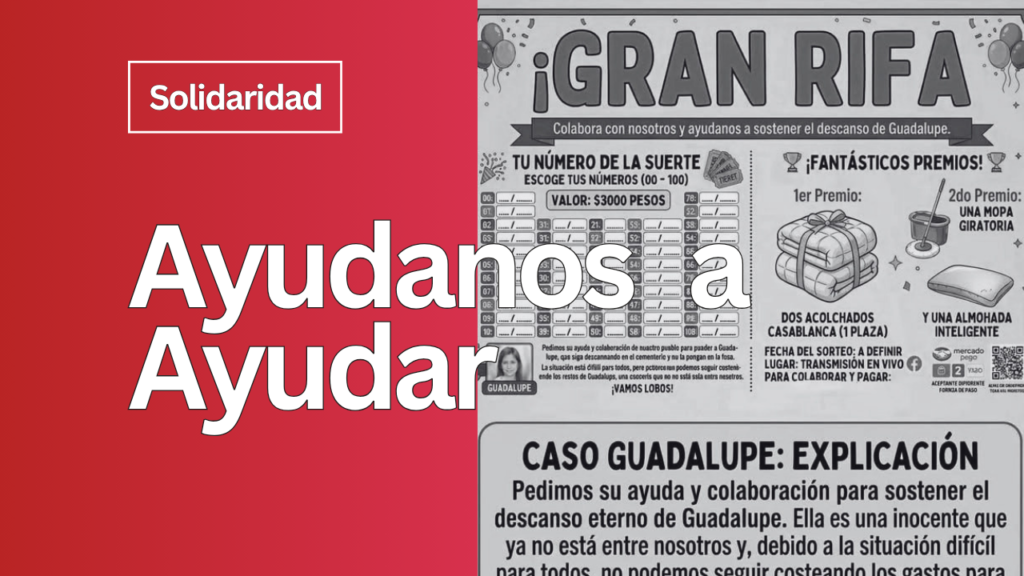 Solidaridad Activa