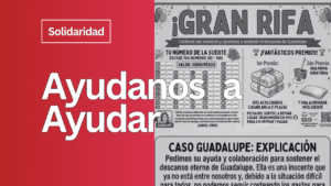 Solidaridad Activa
