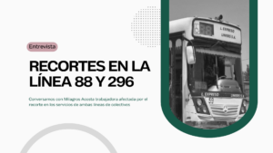 Recortan las frecuencias de las Líneas 88 y 296