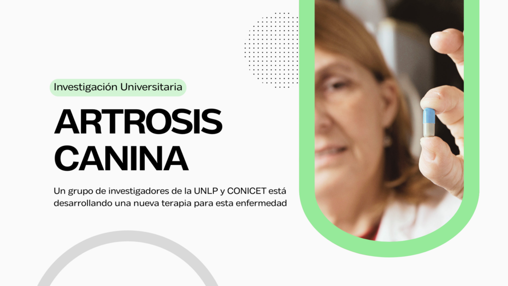 Un grupo de investigadores de la UNLP y CONICET está desarrollando una nueva terapia para esta enfermedad