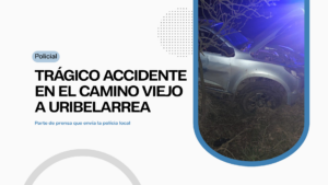 Partes Policiales 2026 (2)