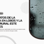 Hasta la tarde de hoy seguirán las lluvias