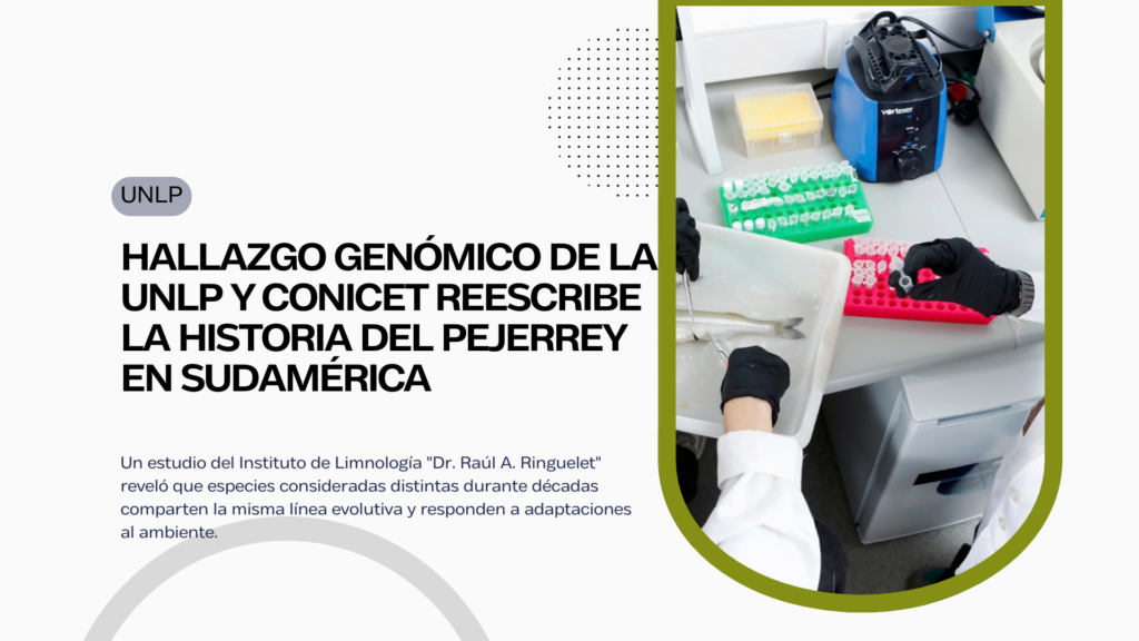 UNLP