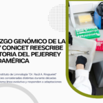 El ADN reescribe la historia del pejerrey sudamericano