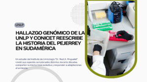 UNLP