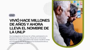UNLP