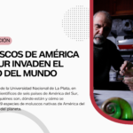 Moluscos de América del Sur invaden el resto del mundo